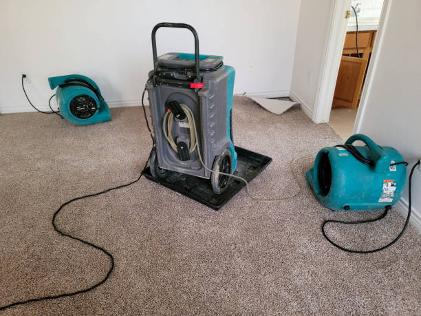Best Water damage cleanup near me  in Samoset, FL