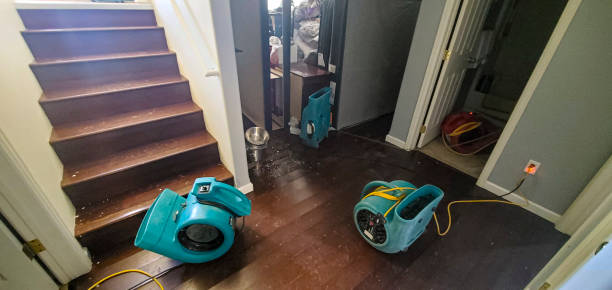 Best Carpet water damage restoration  in Samoset, FL