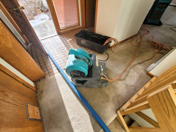 Best Water damage contractors near me  in Samoset, FL