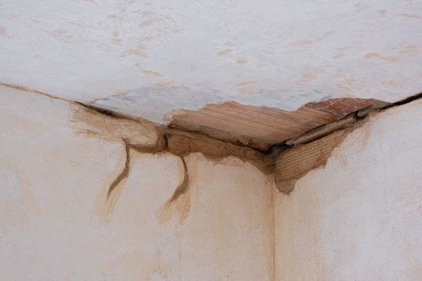 Best 24/7 water damage repair  in Samoset, FL