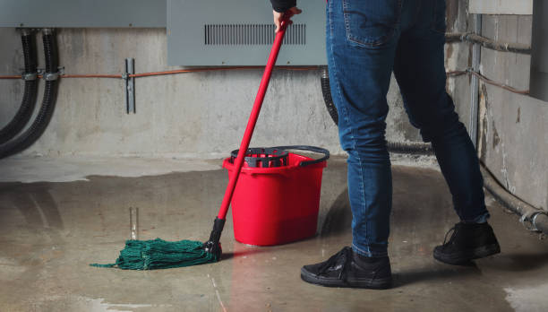 Best Flooded house restoration  in Samoset, FL