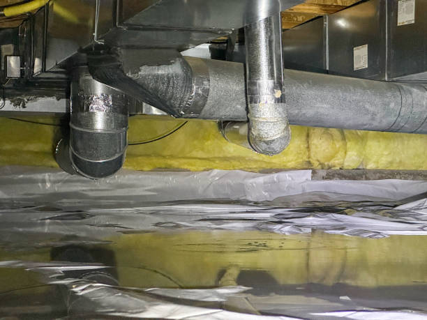 Best Professional water damage repair  in Samoset, FL