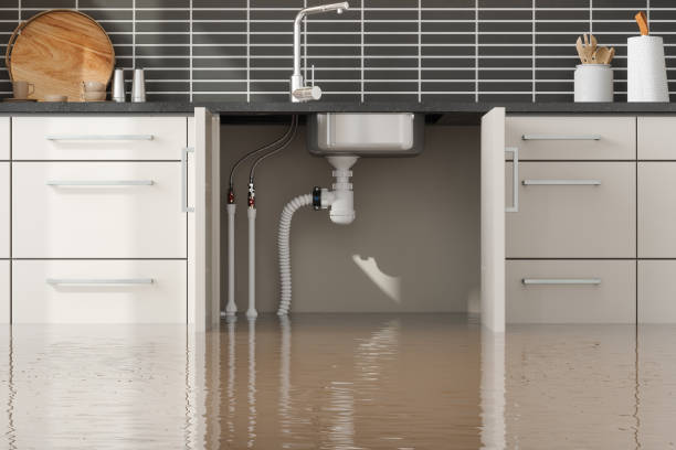 Best Water damage cleanup near me  in Samoset, FL