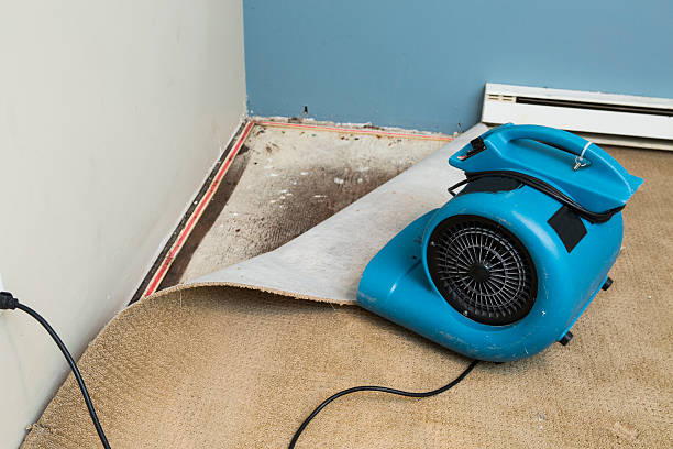  Samoset, FL Water damage restoration Pros