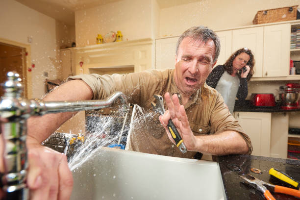 Best Mold removal after water damage  in Samoset, FL